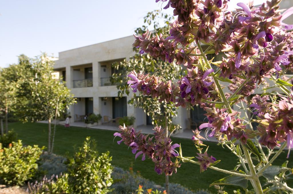 Lavi Kibbutz Hotel Bagian luar foto